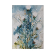 Akwarela Akwarelka Obraz pt: Ostrożeń Polny