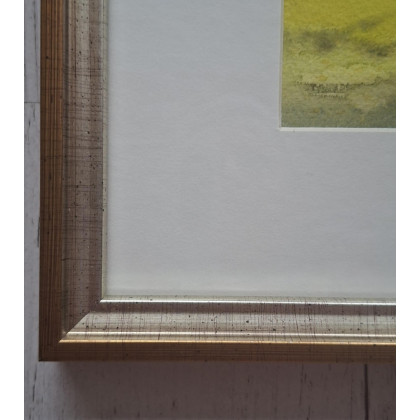 Jolanta Zdanowicz - obrazy akwarela - Akwarela w oprawie foto #1