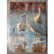 Żurawie  (50x70 cm)
