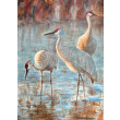 Żurawie  (50x70 cm)