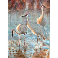 Żurawie  (50x70 cm)