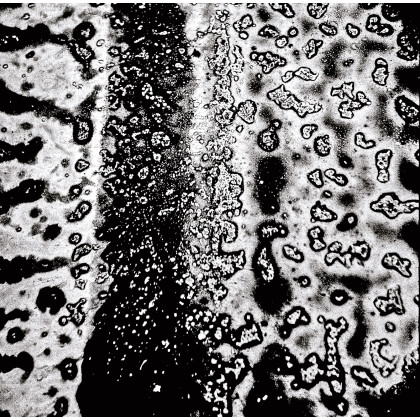 Sztuka wizualna 4, Cezary Tymczuk, fotomanipulacja