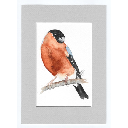 Gil- akwarela z passe portout, Magdalena Malik, obrazy akwarela