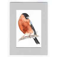 GIL- AKWARELA Z PASSE PORTOUT