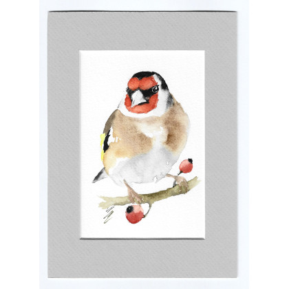 Szczygieł - akwarela z passe portout, Magdalena Malik, obrazy akwarela