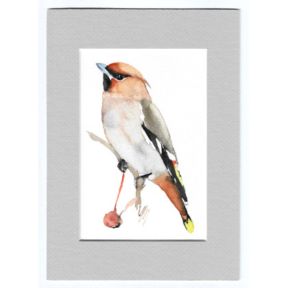 Jemiołuszka - akwarela z passe portout, Magdalena Malik, obrazy akwarela