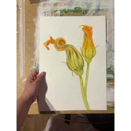 Maria Mandis - obrazy akwarela - Kwiaty dyni foto #1