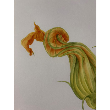 Maria Mandis - obrazy akwarela - Kwiaty dyni foto #3