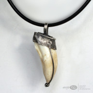 Kieł dzika w srebrze