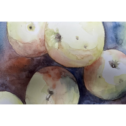 Krystyna Nowak - obrazy akwarela - Jabłuszka (30x40 cm) foto #1