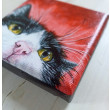portret kotka 10x10cm