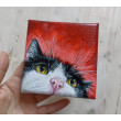 portret kotka 10x10cm