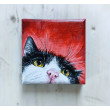 portret kotka 10x10cm