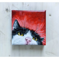 portret kotka 10x10cm