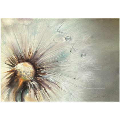 Niuanse, Joanna Magdalena, obrazy akwarela