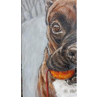 Bokser - portret psa, 60x40cm