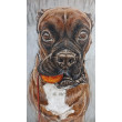 Bokser - portret psa, 60x40cm