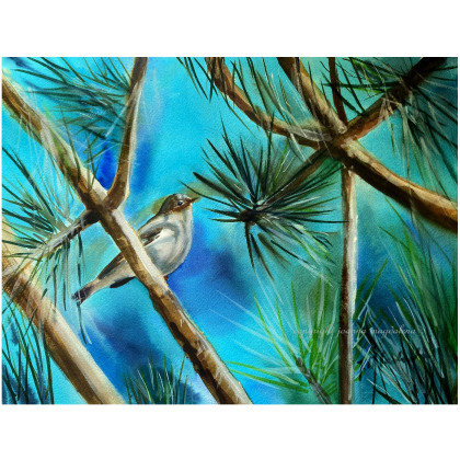 W turkusach, Joanna Magdalena, obrazy akwarela