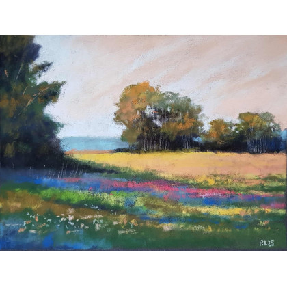 Paulina Lebida - pastele suche - Pejzaż -rysunek pastele foto #1