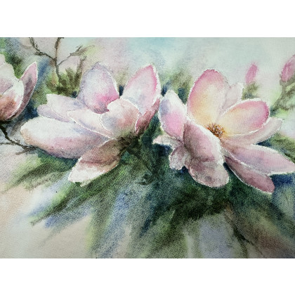 Krystyna Nowak - obrazy akwarela - Magnolie (40x50 cm) foto #1