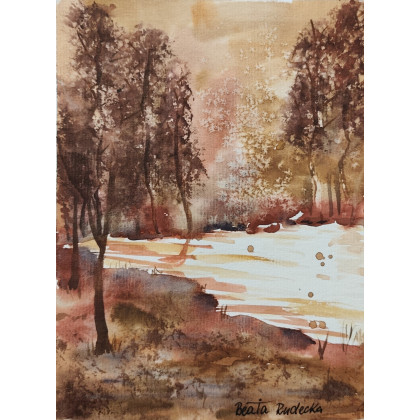 Beata Rudecka - obrazy akwarela - Akwarela Akwarelka Obraz pt: Leśny Szmer - oprawiona foto #3