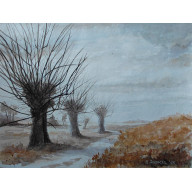 Polskie Drogi - wierzby