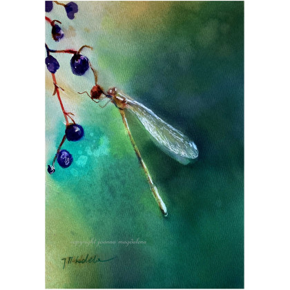 Zakazany owoc - akwarela w oprawie, Joanna Magdalena, obrazy akwarela