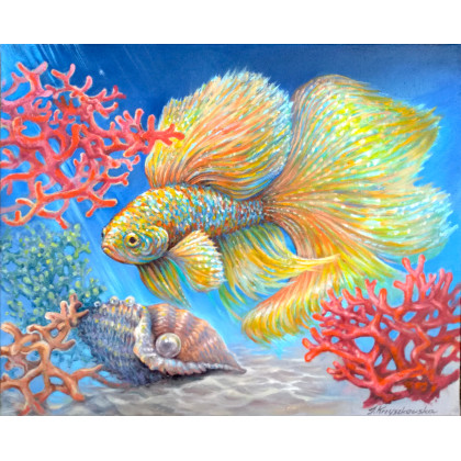 Złota Rybka - Bojownik 50x40cm, Izabela Krzyszkowska , obrazy olejne