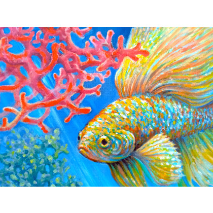 Izabela Krzyszkowska  - obrazy olejne - Złota Rybka - Bojownik 50x40cm foto #1