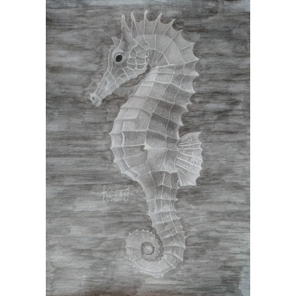 Konik morski, Albert Borkowski, rysunek ołówkiem