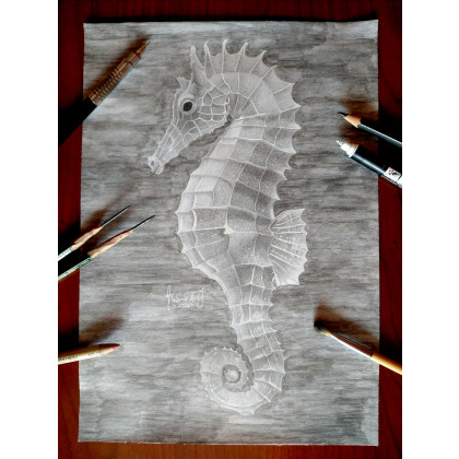 Albert Borkowski - rysunek ołówkiem - Konik morski foto #1