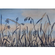 Akwarela Akwarelka Obraz pt: Łąka 1