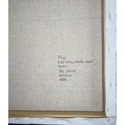 Myroslava Burlaka - obrazy olejne - Siła natury. Nocny most i burza. foto #4