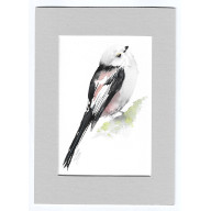 RANIUSZEK - AKWARELA Z PASSE PORTOUT