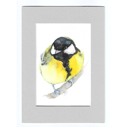 Sikora bogatka - akwarela z passe portout, Magdalena Malik, obrazy akwarela