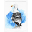 Mewa -  obraz akwarelowy