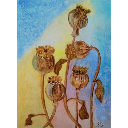 Bogumiła Szufnara - obrazy akwarela - Makówki-akwarela foto #1