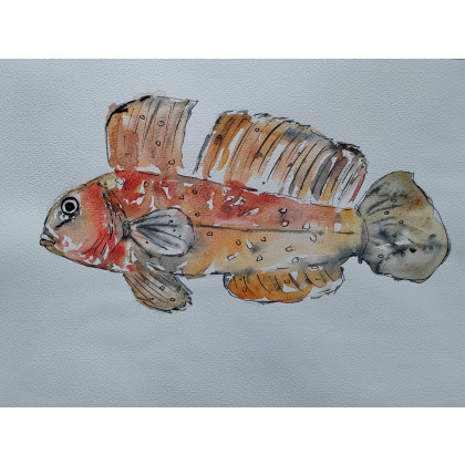 Akwarela -Babka, ML, obrazy akwarela