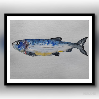 ML - obrazy akwarela - Akwarela -Makrela foto #1