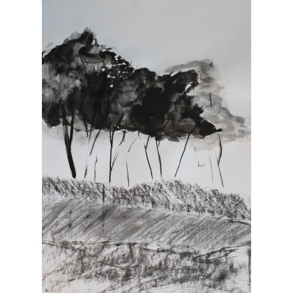 Pejzaż minimalistyczny, Bogna Woskowicz, rysunek tuszem