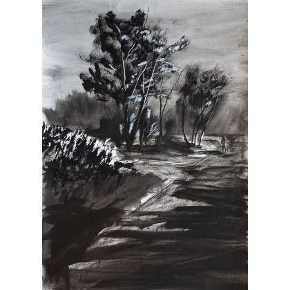 Pejzaż, Bogna Woskowicz, rysunki tech.mieszana