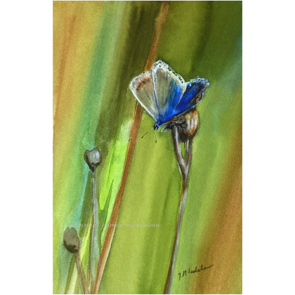 Kropla błękitu - akwarela w oprawie, Joanna Magdalena, obrazy akwarela