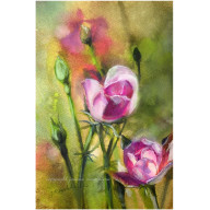 Czułość - akwarela w oprawie