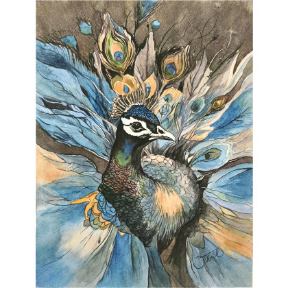 Czujność pawia, Akwarela 24 x 32 cm, Joanna Tomczyk, obrazy akwarela