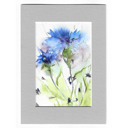 Chaber bławatek- akwarela z passe portout, Magdalena Malik, obrazy akwarela