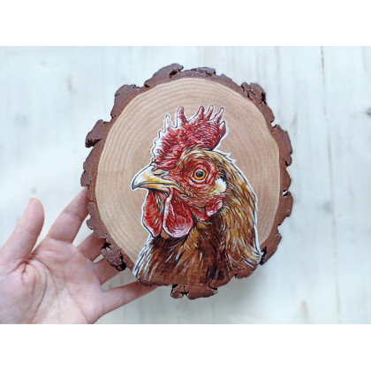 Kura na drewnie sosnowym, Joanna Podolska, obrazy akryl