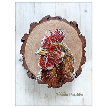 Joanna Podolska - obrazy akryl - Kura na drewnie sosnowym foto #1