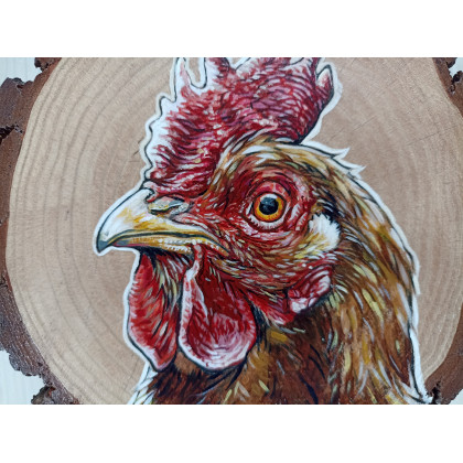 Joanna Podolska - obrazy akryl - Kura na drewnie sosnowym foto #4