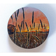 Tymotkowa łąka o zachodzie słońca