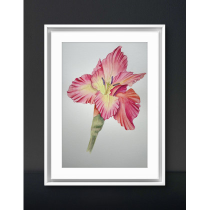 Akwarela A4  Kwiat Gladiola, Yunona Kucherevska, obrazy akwarela